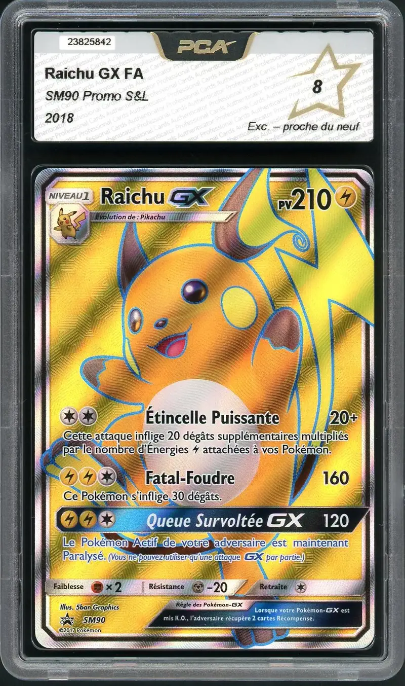 PCA 8 Raichu Gx