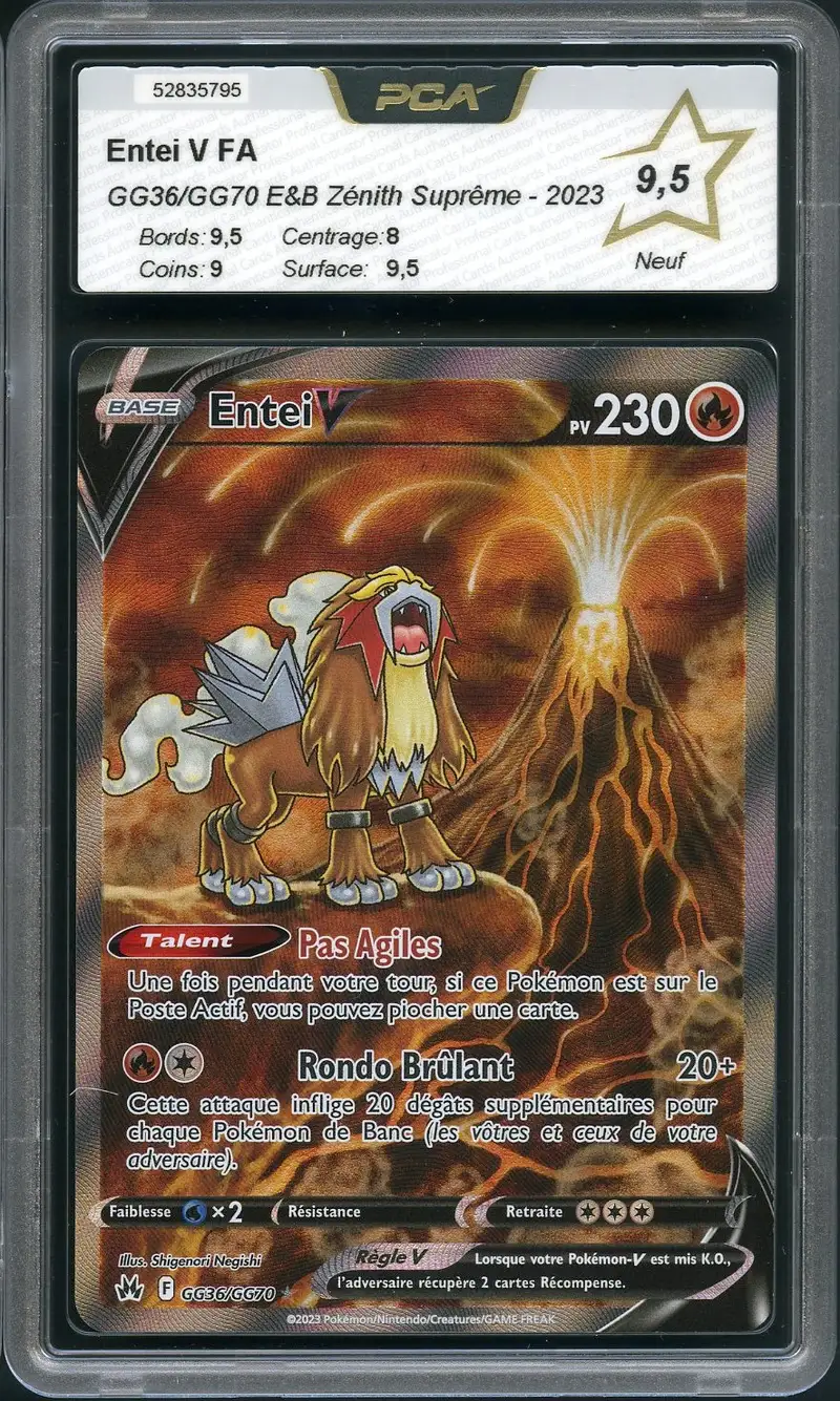 PCA 9.5 Entei V