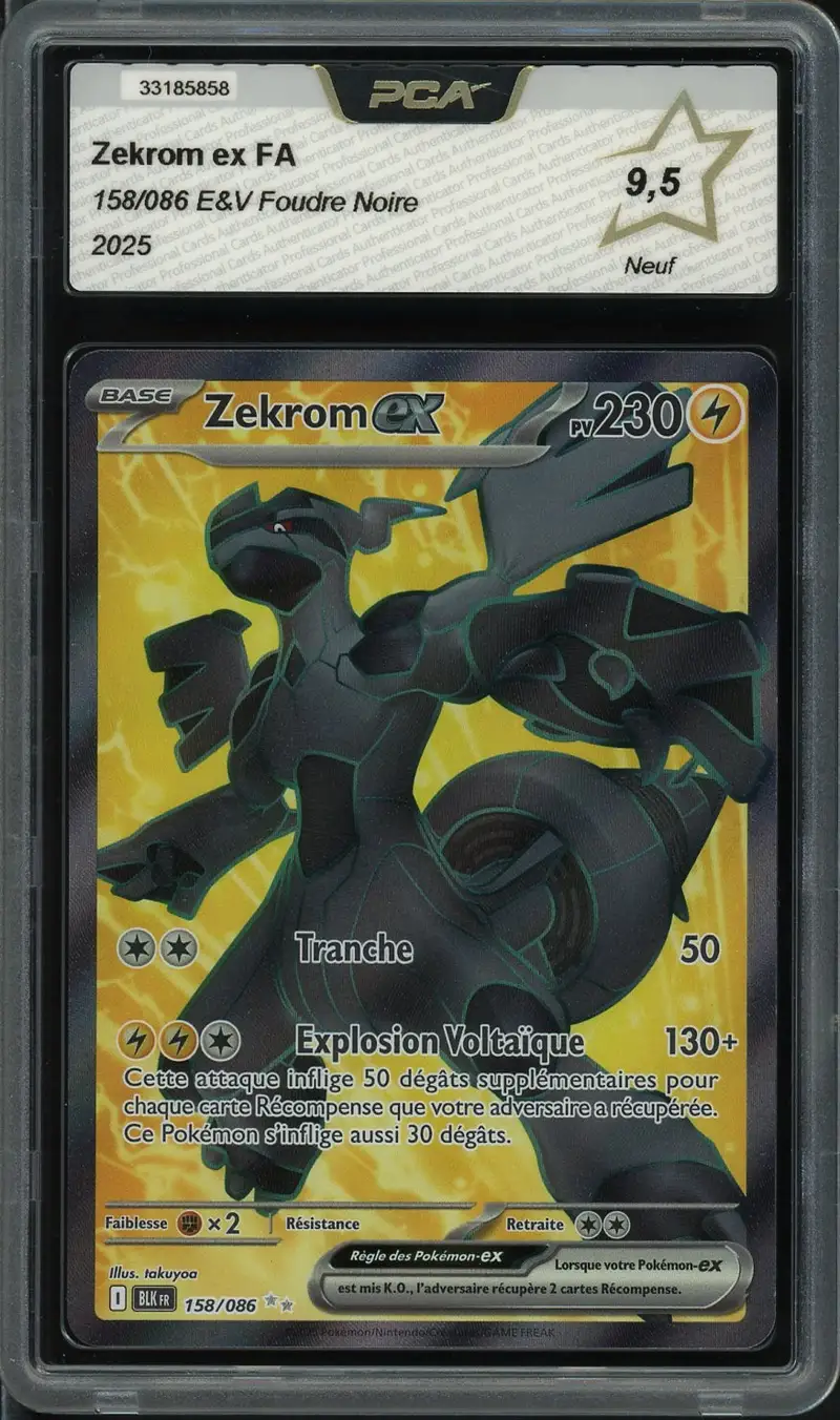 PCA 9.5 Zekrom Ex