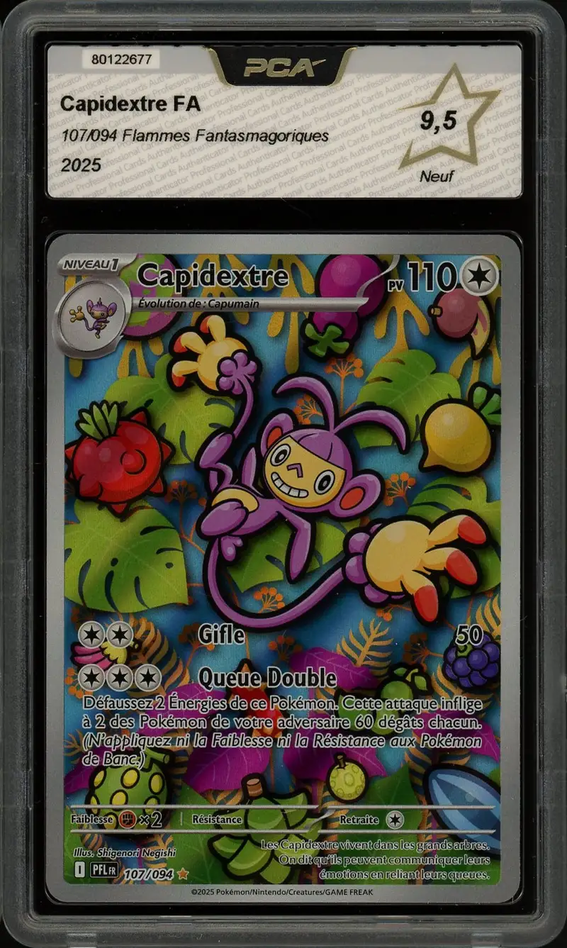 PCA 9.5 Capidextre