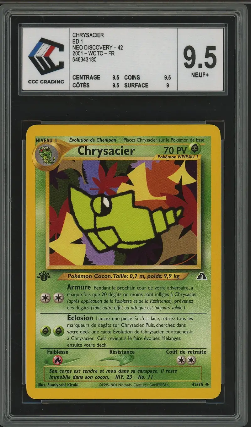 CCC 9.5 Chrysacier