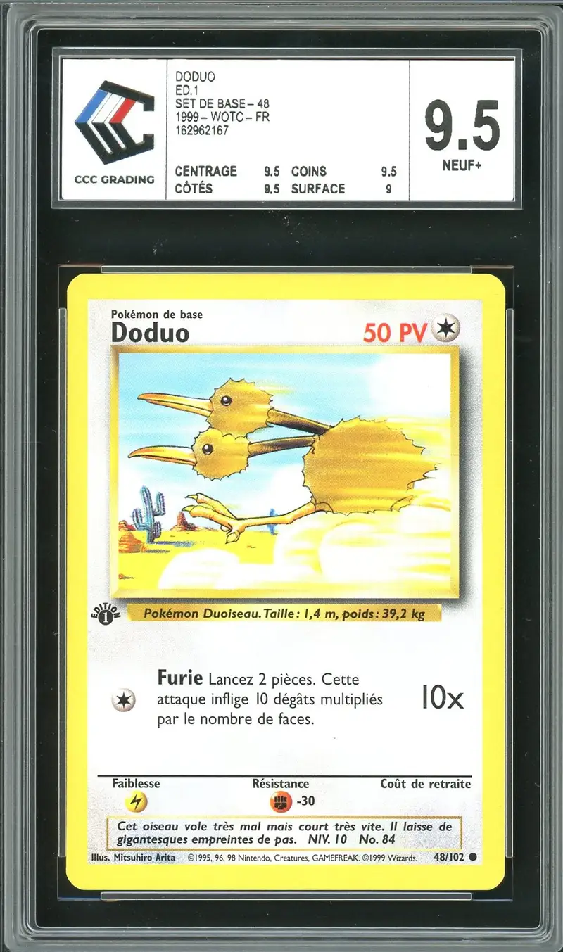 CCC 9.5 Doduo