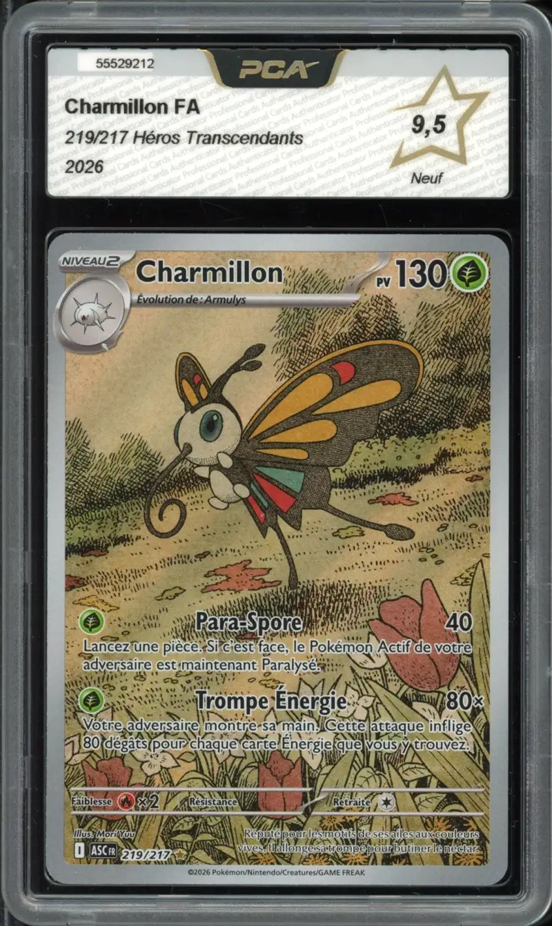 PCA 9.5 Charmillon