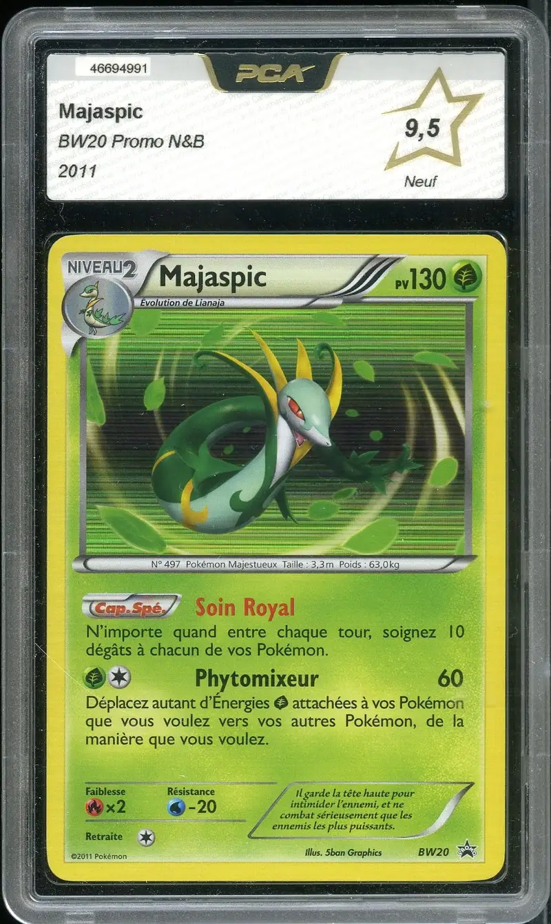 PCA 9.5 Majaspic Holo