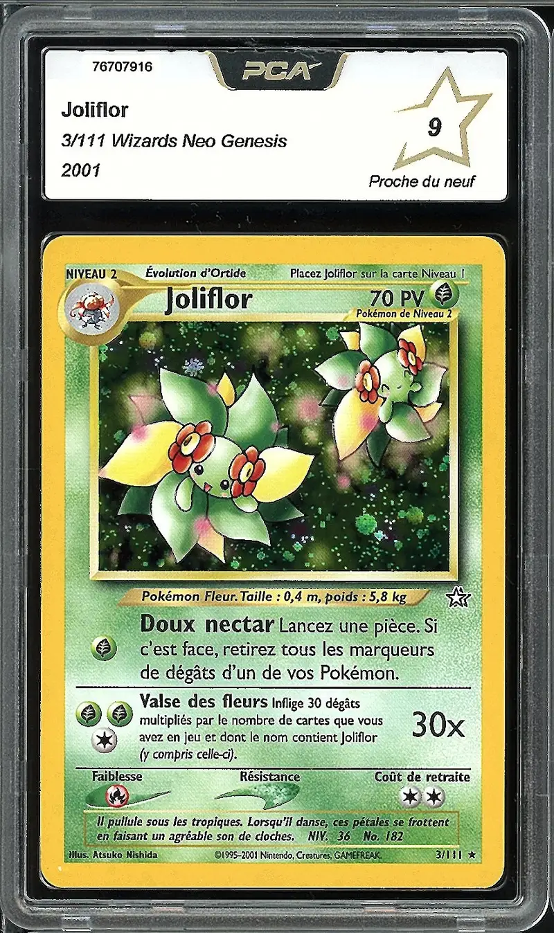 PCA 9 Joliflor Holo