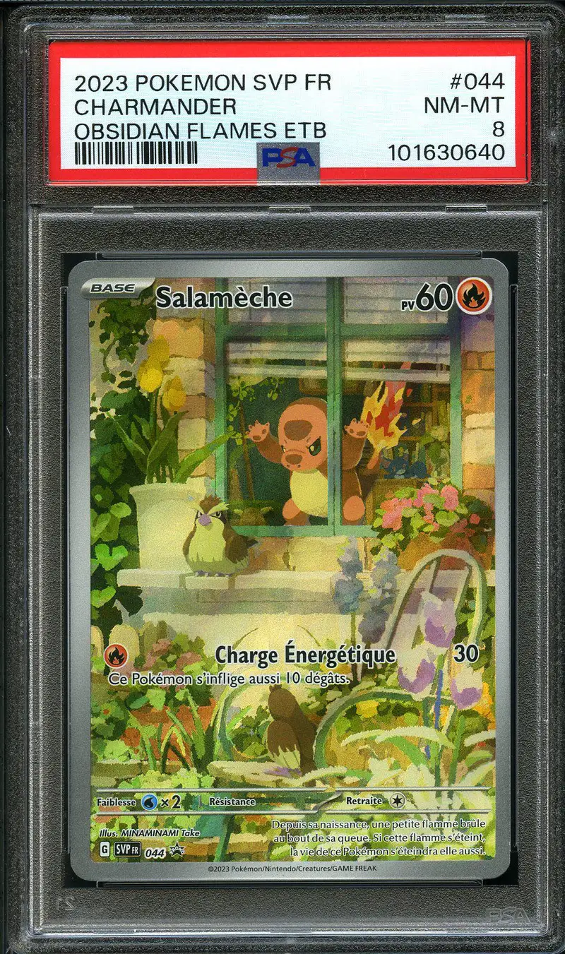 PSA 8 Salamèche