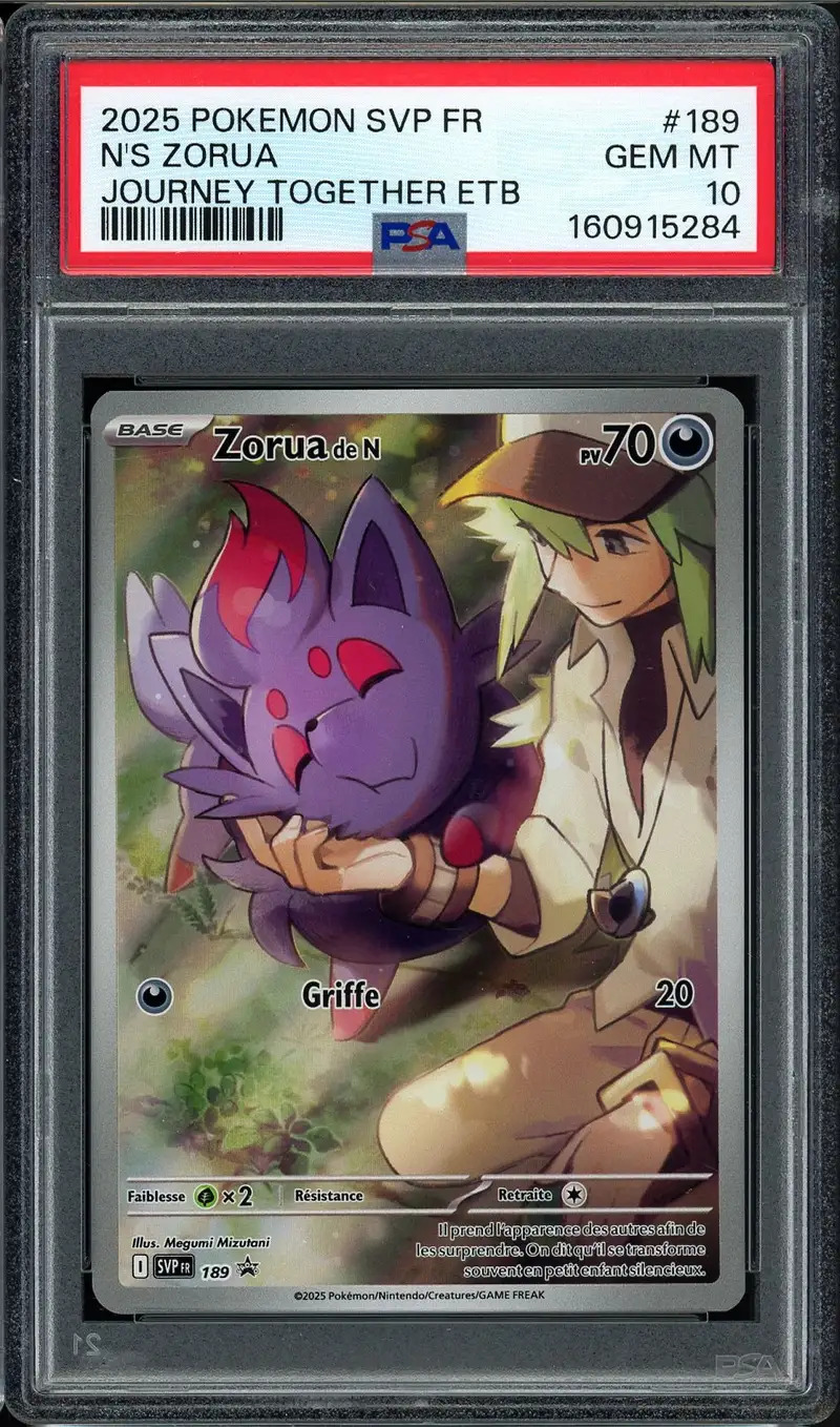 PSA 10 Zorua de N