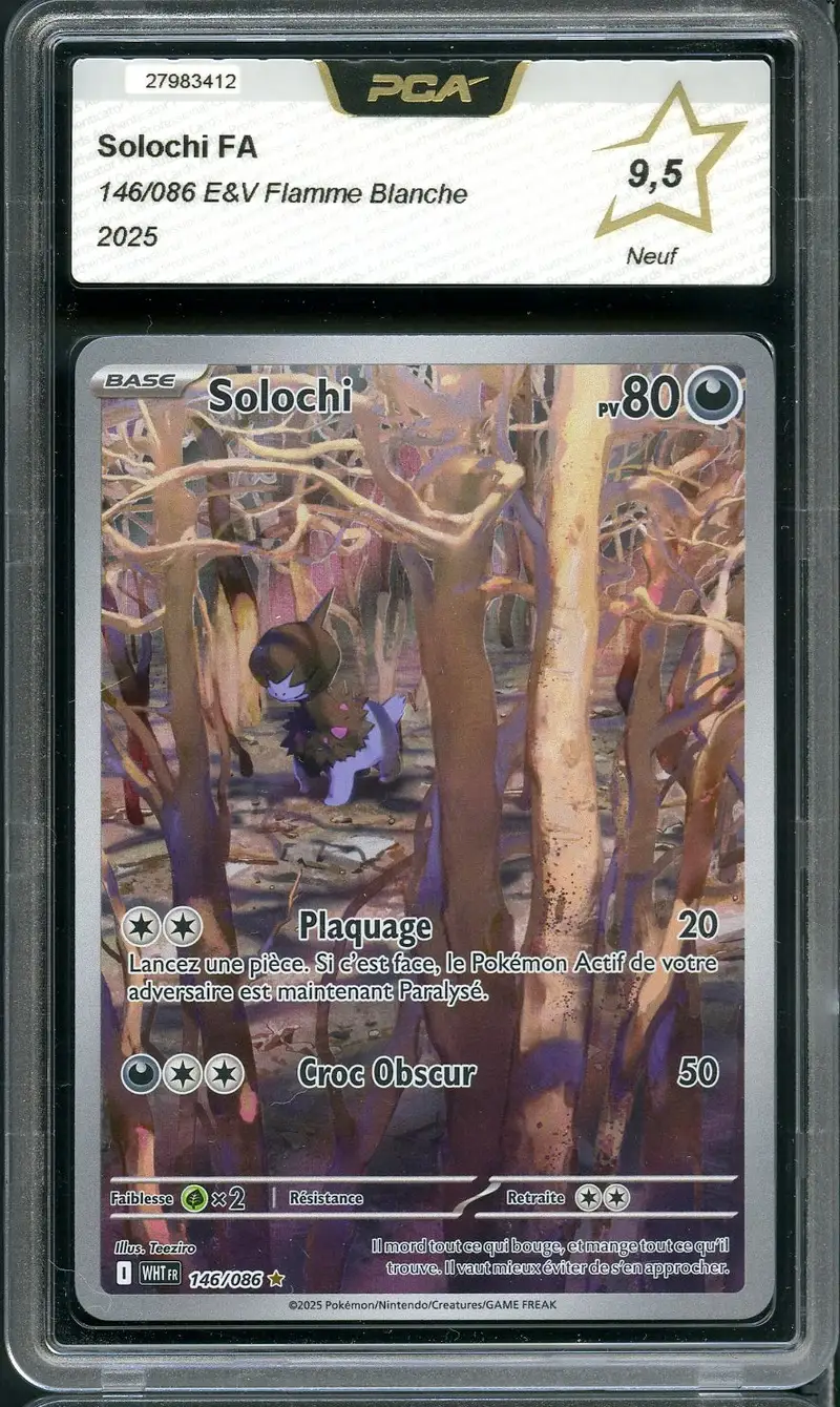 PCA 9.5 Solochi