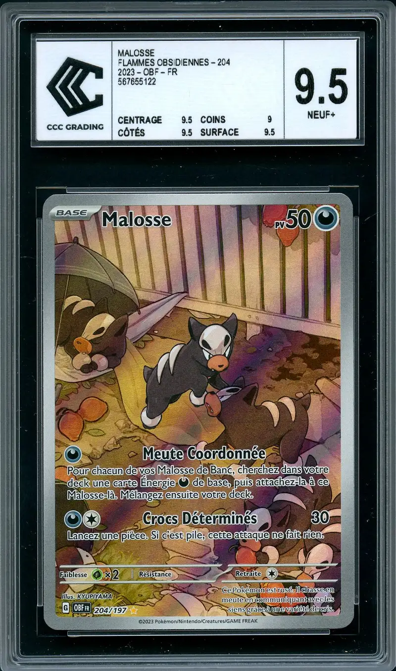 CCC 9.5 Malosse
