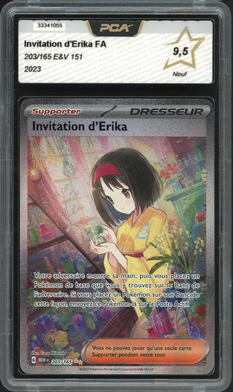 PCA 9.5 Invitation d'Erika