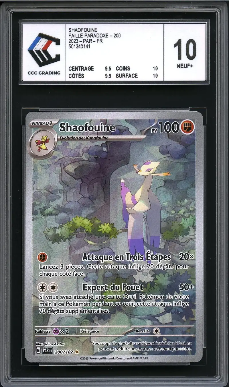 CCC 10 Shaofouine