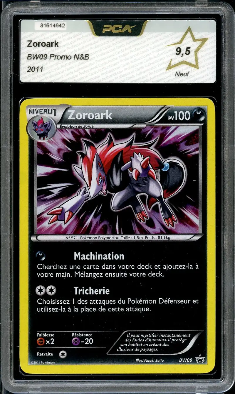 PCA 9.5 Zoroark Holo