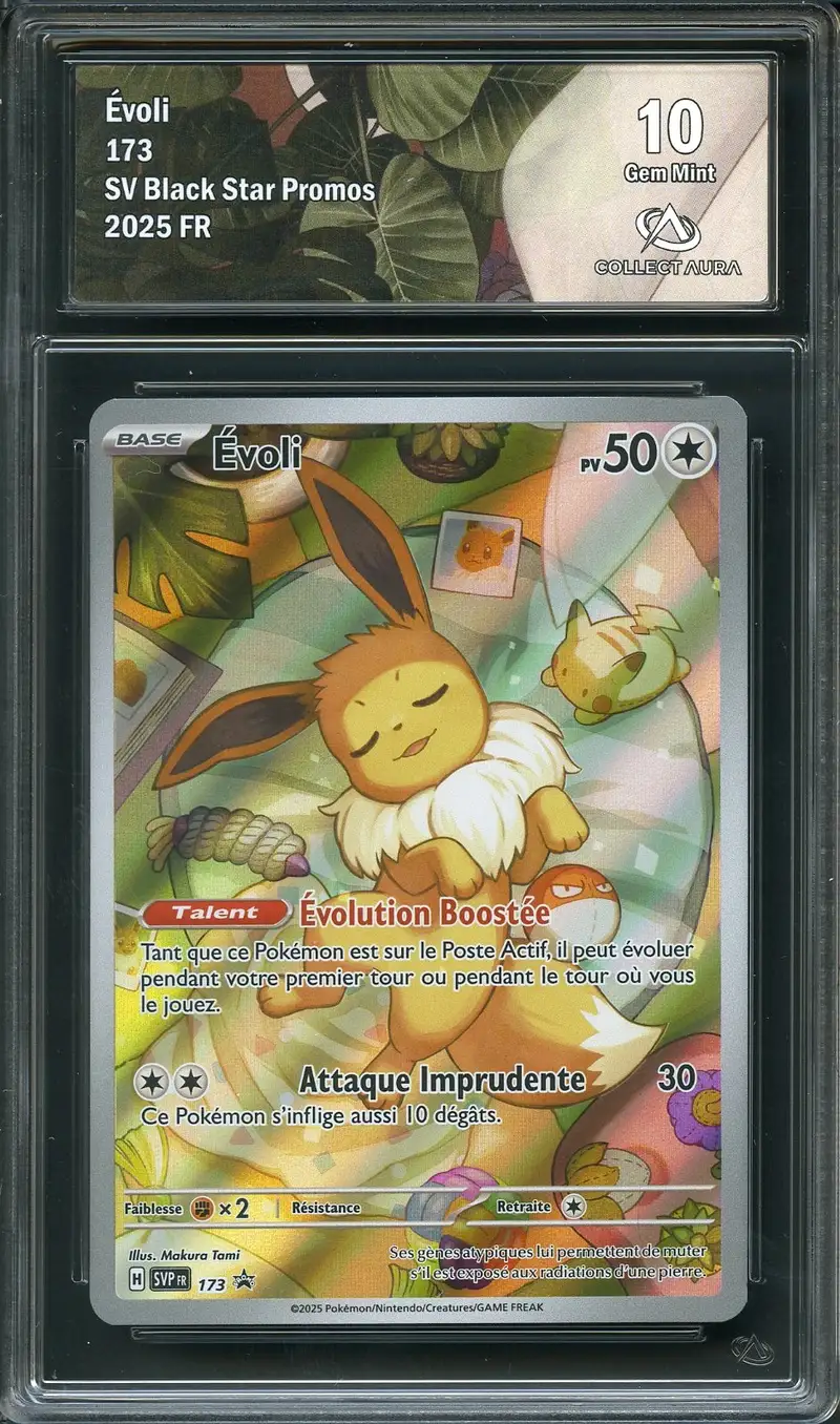 CA 10 Evoli