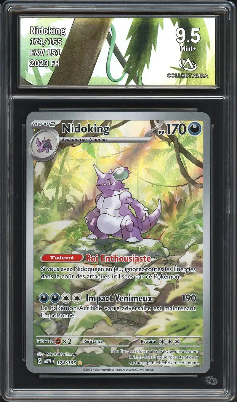 CA 9.5 Nidoking