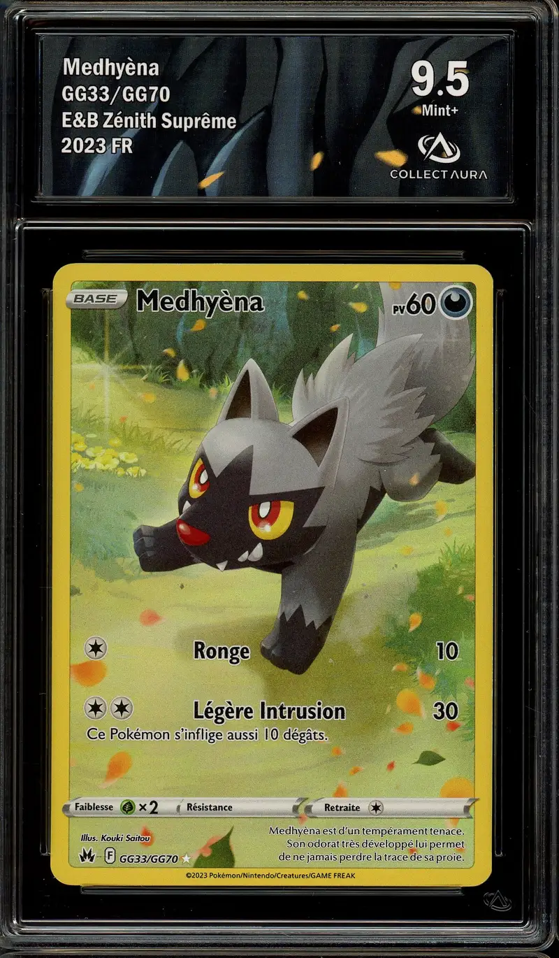 CA 9.5 Medhyèna