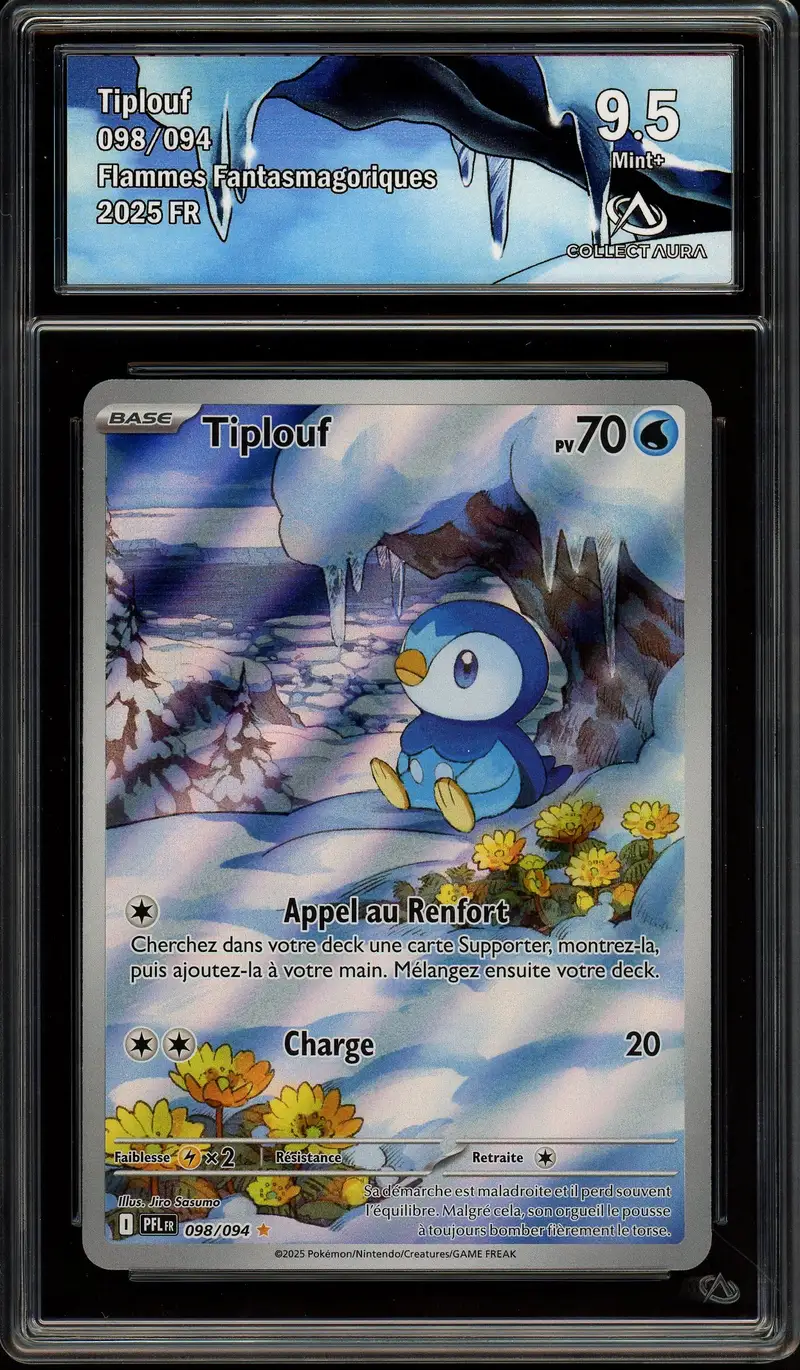 CA 9.5 Tiplouf