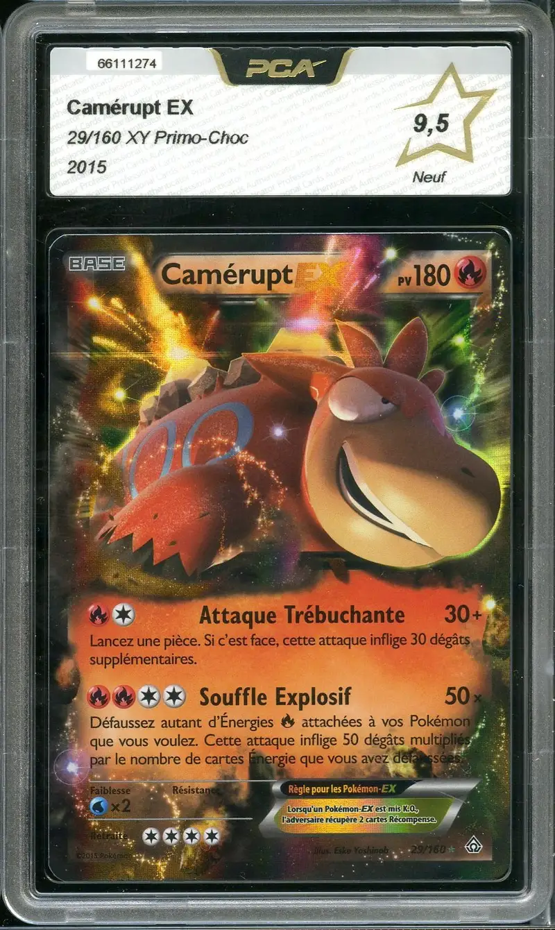 PCA 9.5 Camérupt Ex