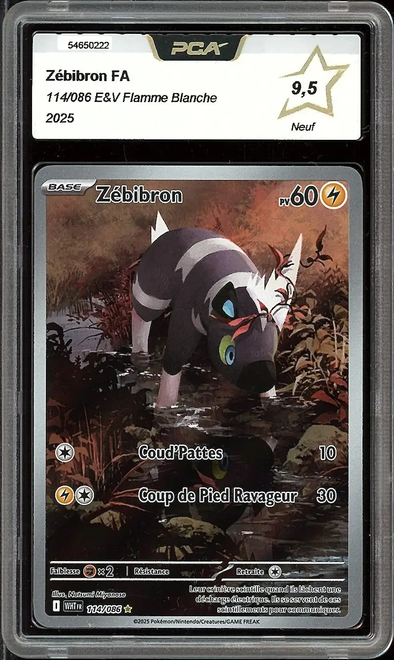PCA 9.5 Zébibron