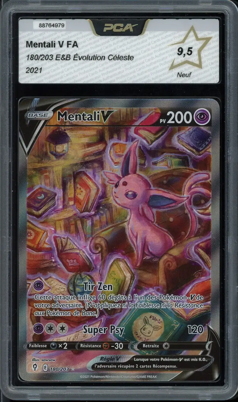 PCA 9.5 Mentali V