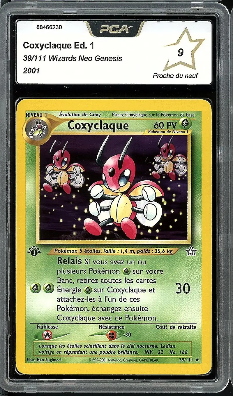 PCA 9 Coxyclaque