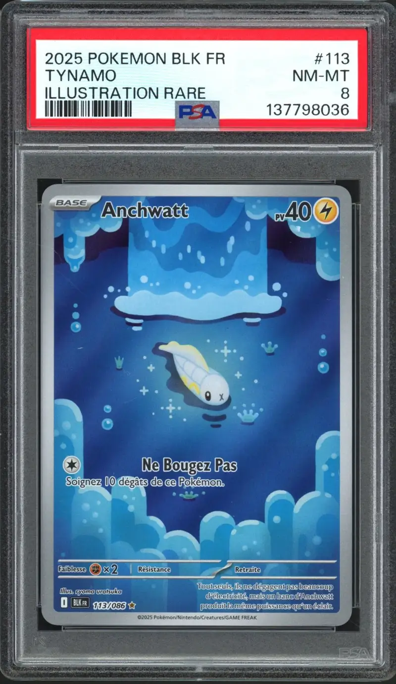 PSA 8 Anchwatt