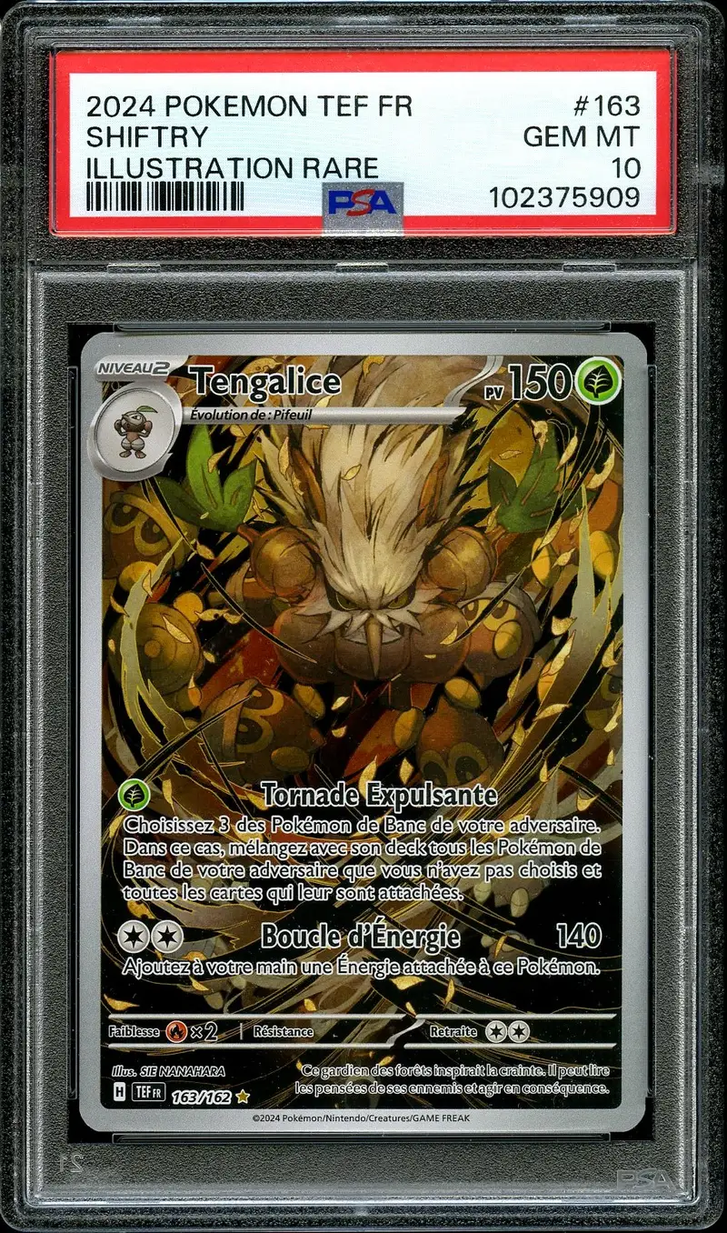 PSA 10 Tengalice