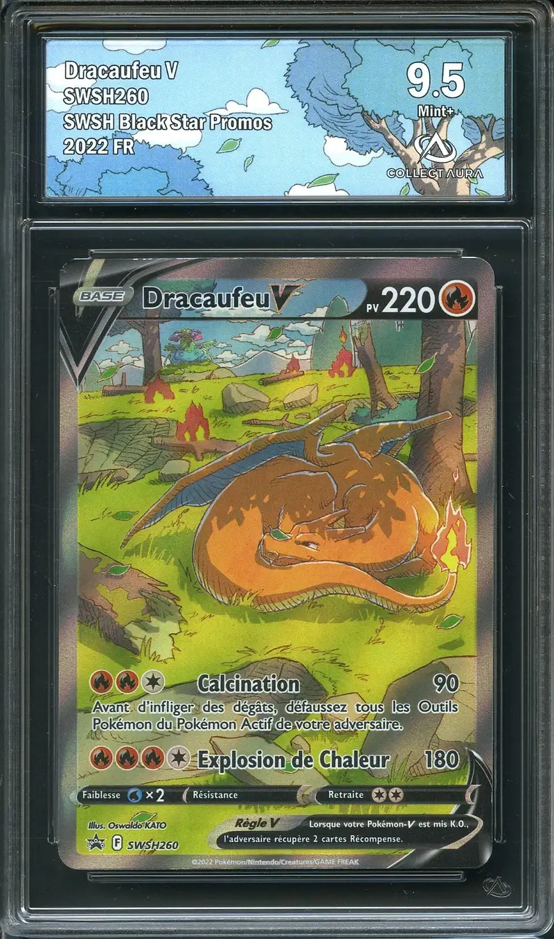 CA 9.5 Dracaufeu V