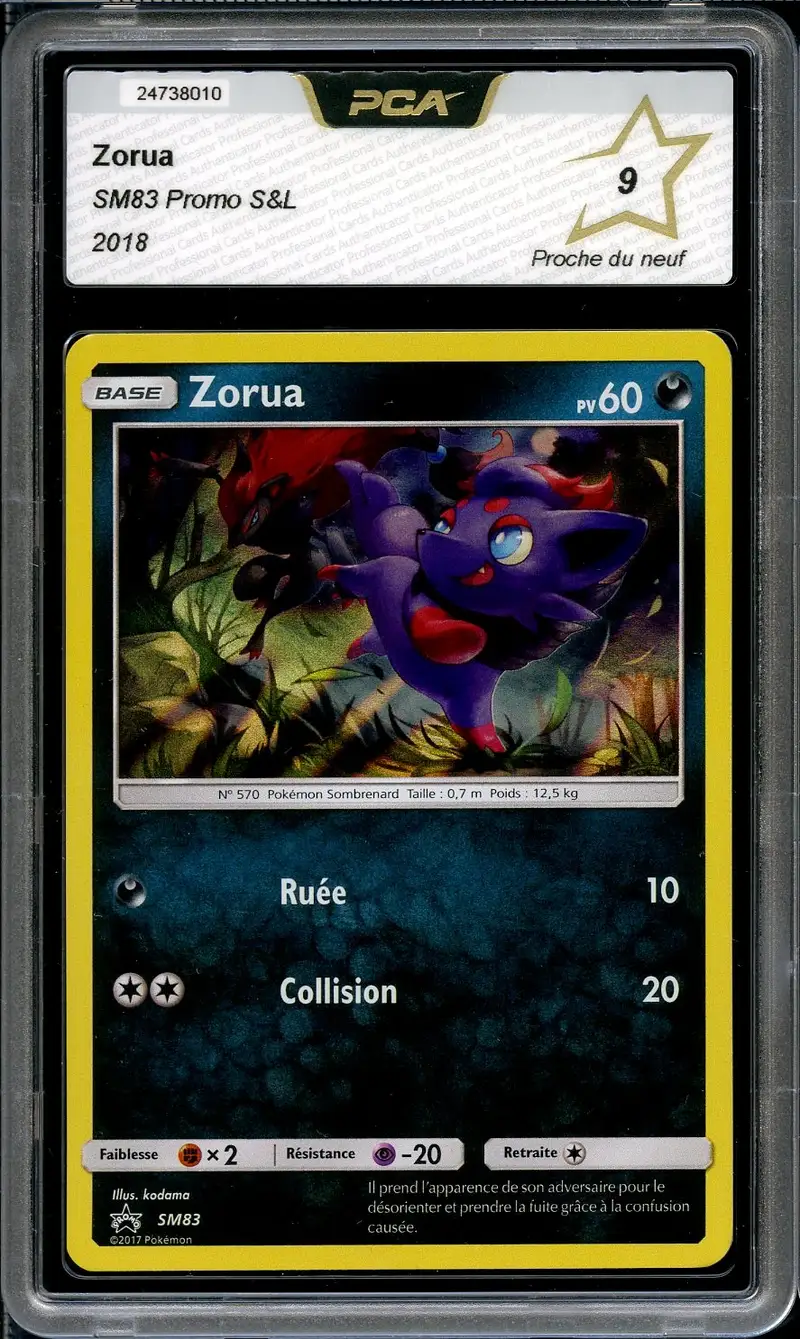 PCA 9 Zorua Holo