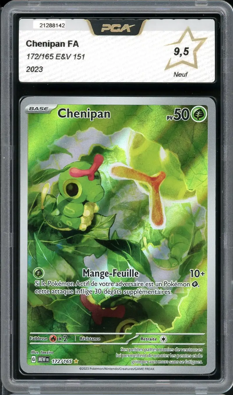 PCA 9.5 Chenipan