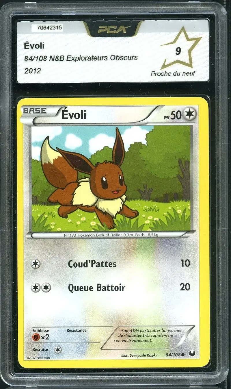 PCA 9 Evoli