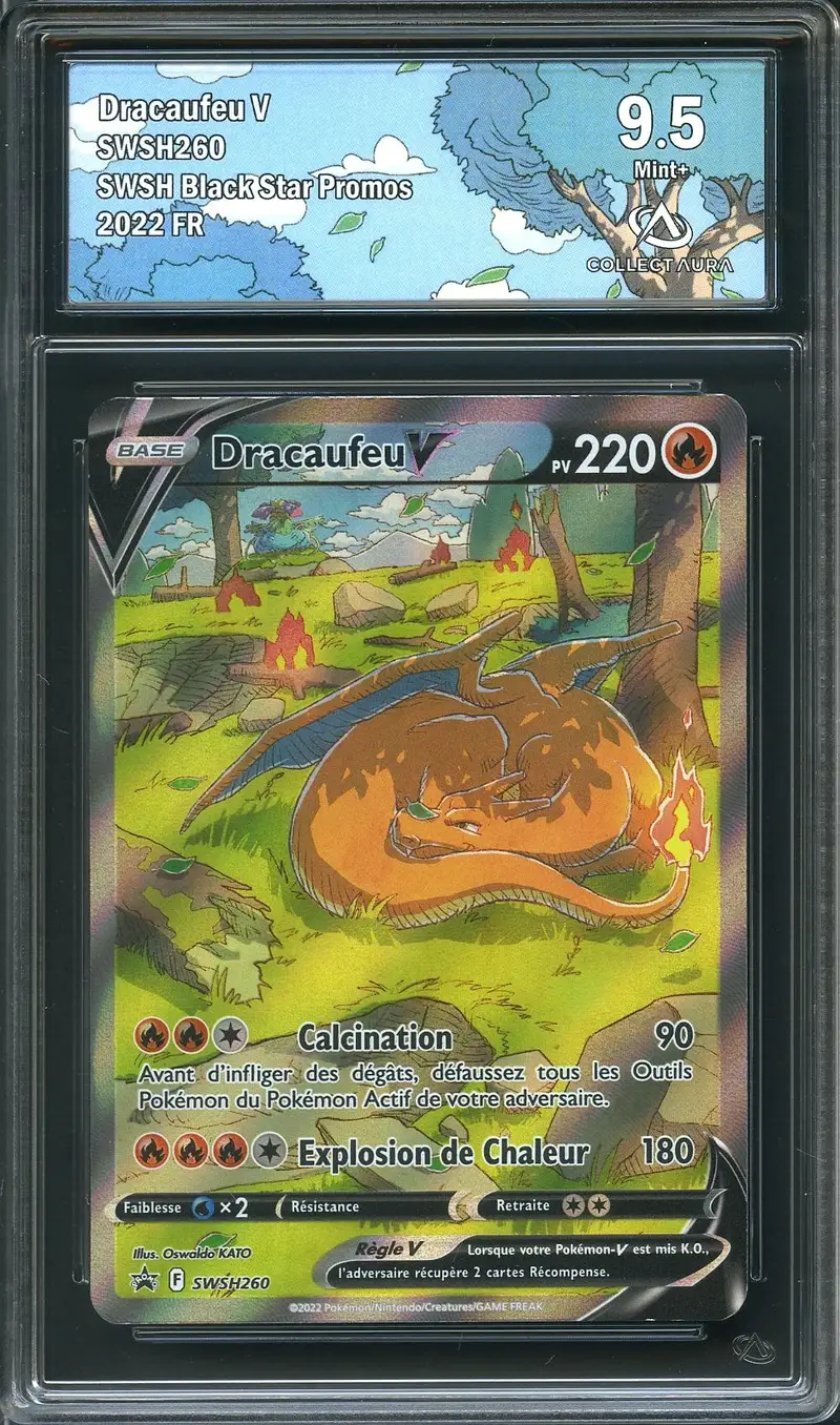 CA 9.5 Dracaufeu V