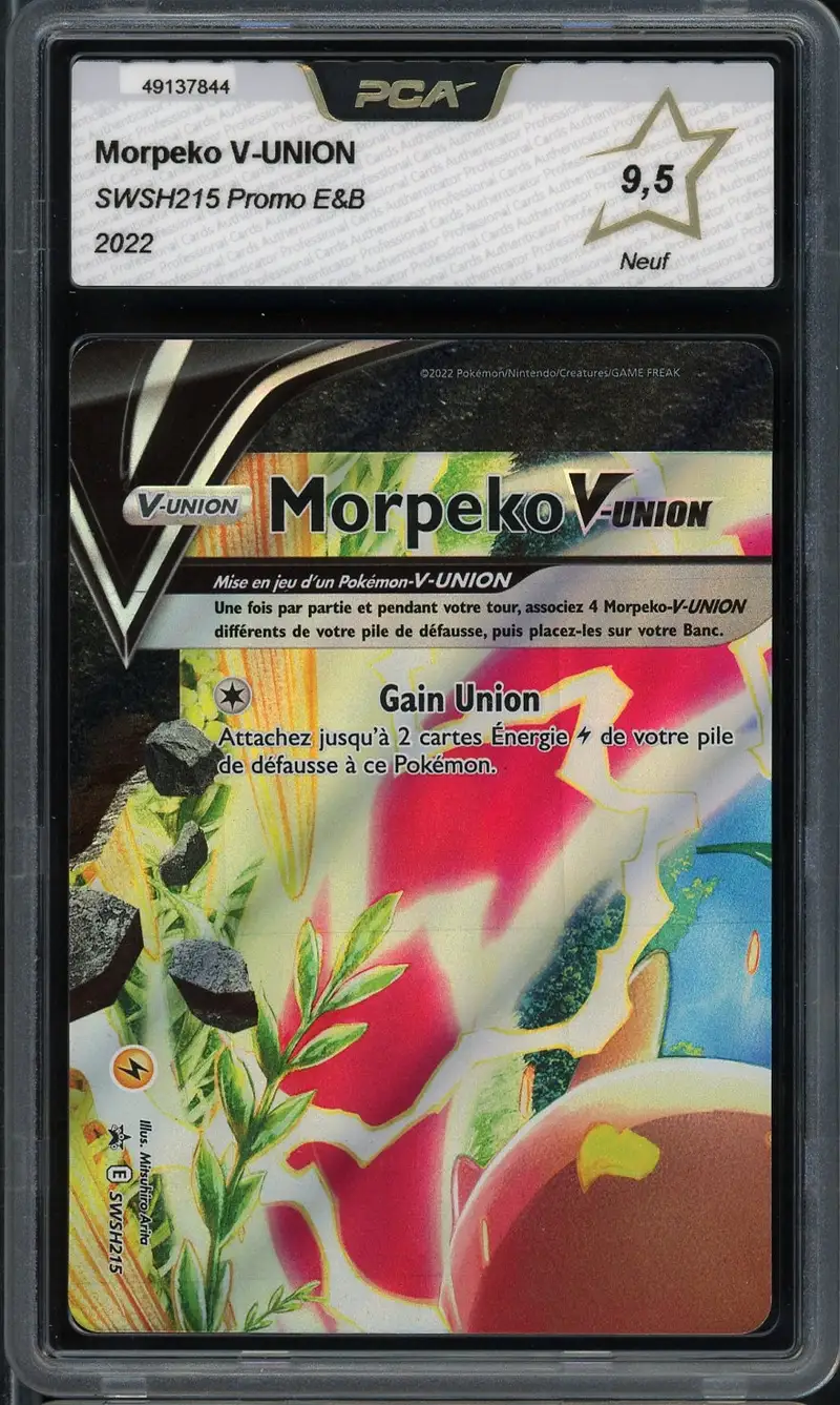 PCA 9.5 Morpeko V Union