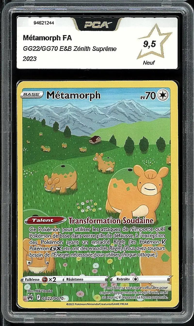 PCA 9.5 Métamorph