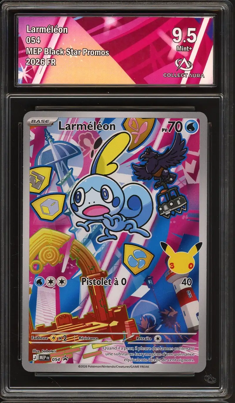 CA 9.5 Larméléon