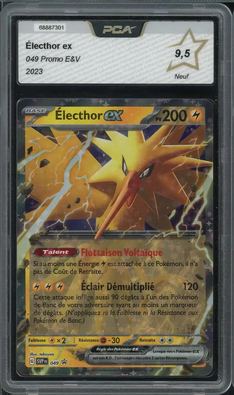 PCA 9.5 Electhor Ex