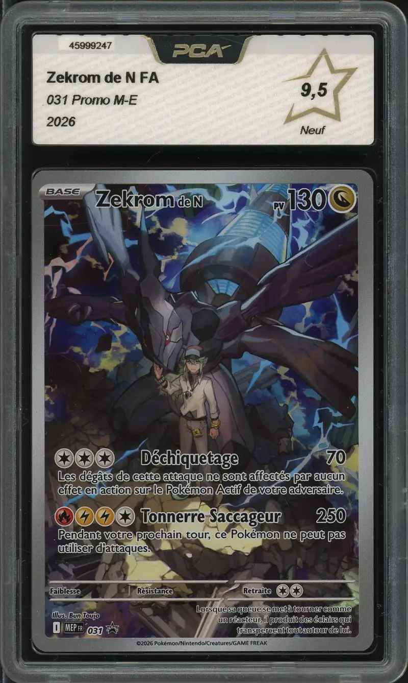 PCA 9.5 Zekrom de N