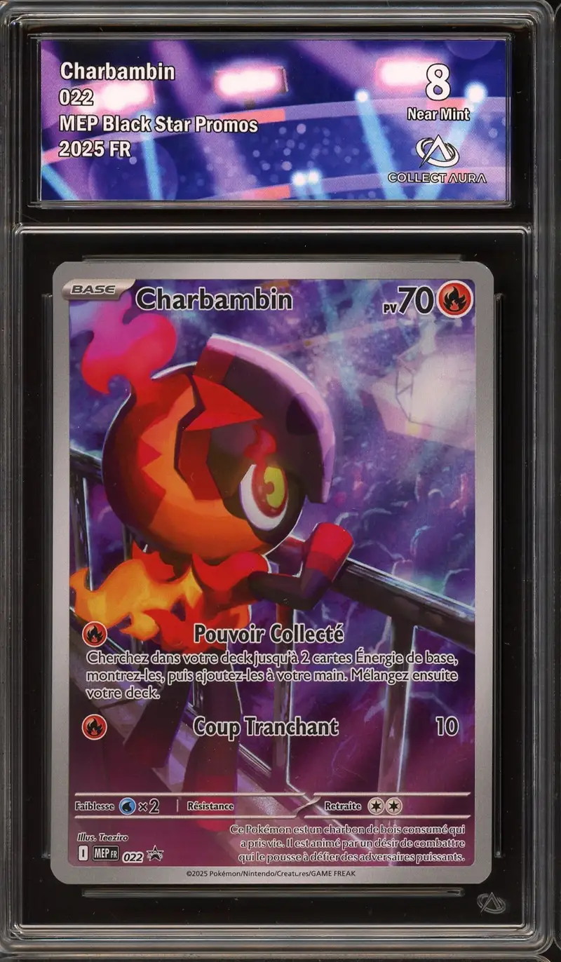 CA 8 Charbambin