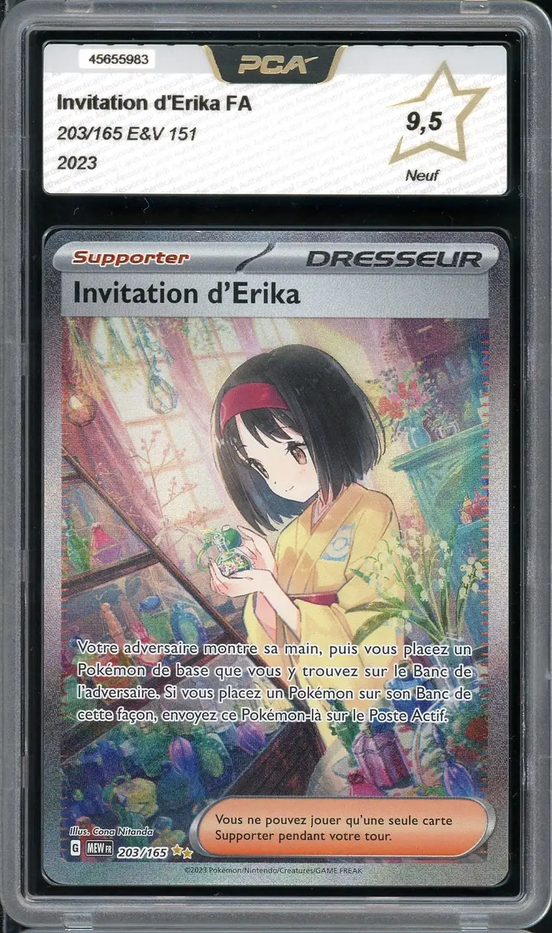 PCA 9.5 Invitation d'Erika