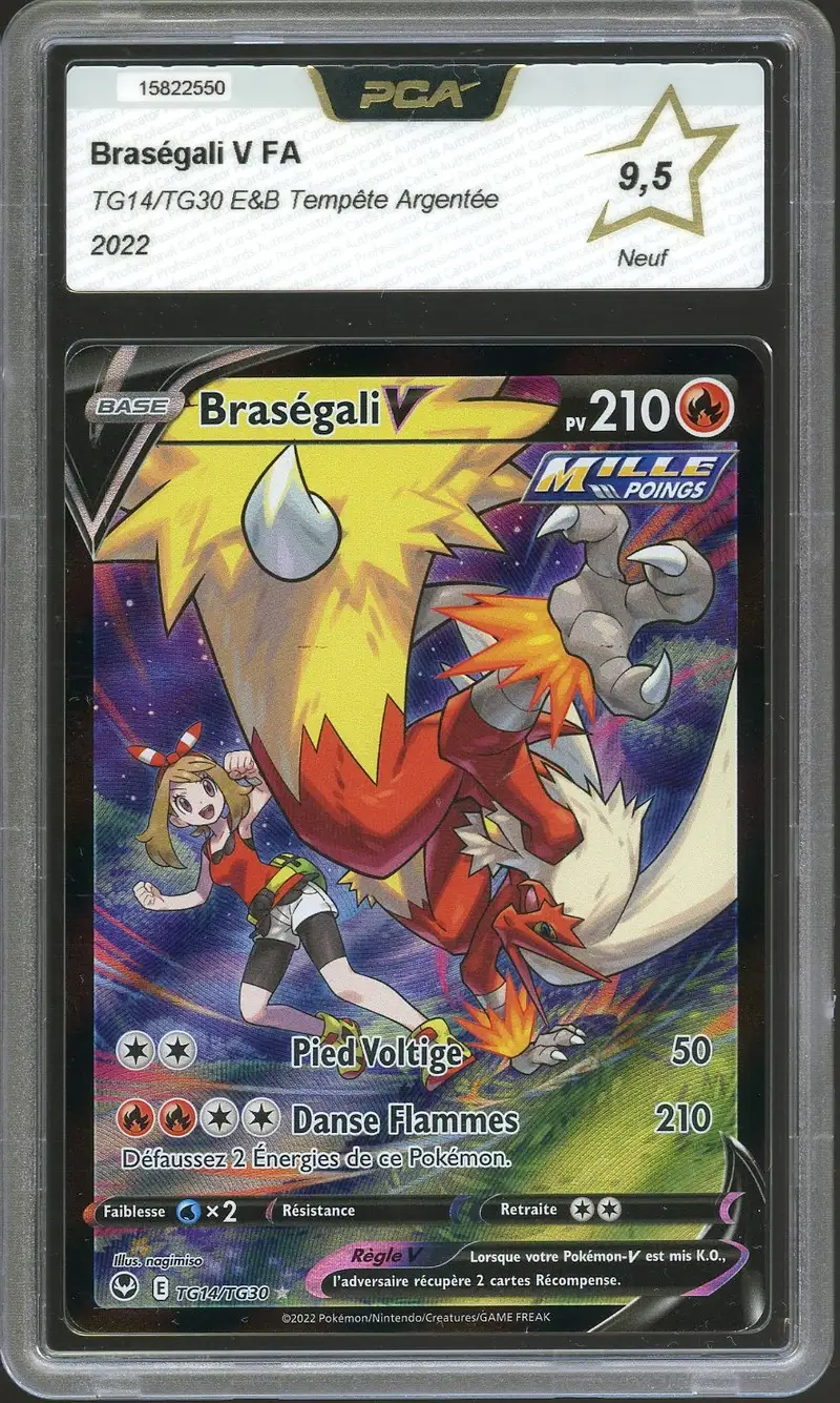 PCA 9.5 Braségali V