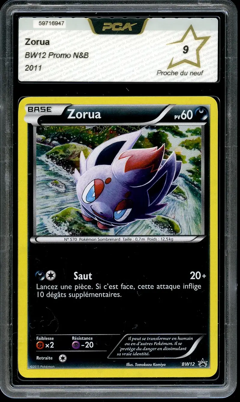 PCA 9 Zorua Holo