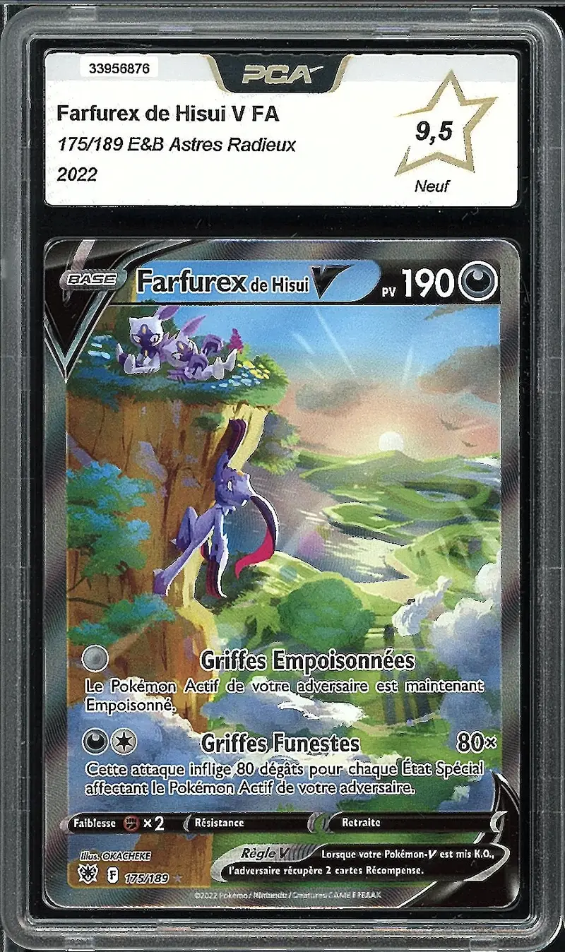 PCA 9.5 Farfurex de Hisui V