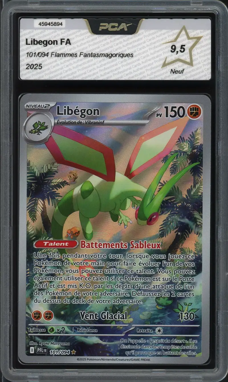 PCA 9.5 Libegon