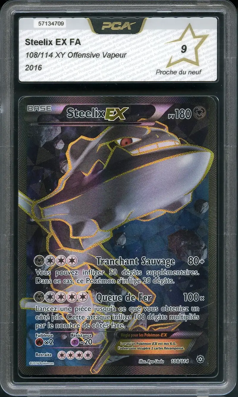 PCA 9 Steelix Ex