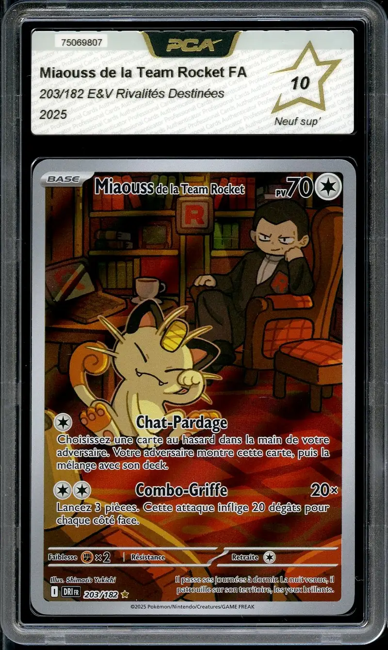 PCA 10 Miaouss de la Team Rocket