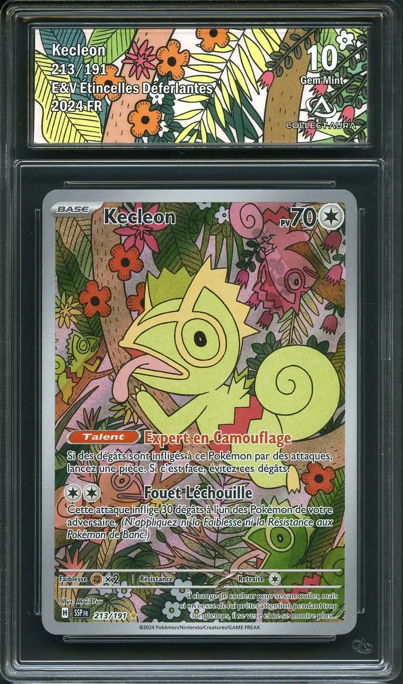 CA 10 Kecleon