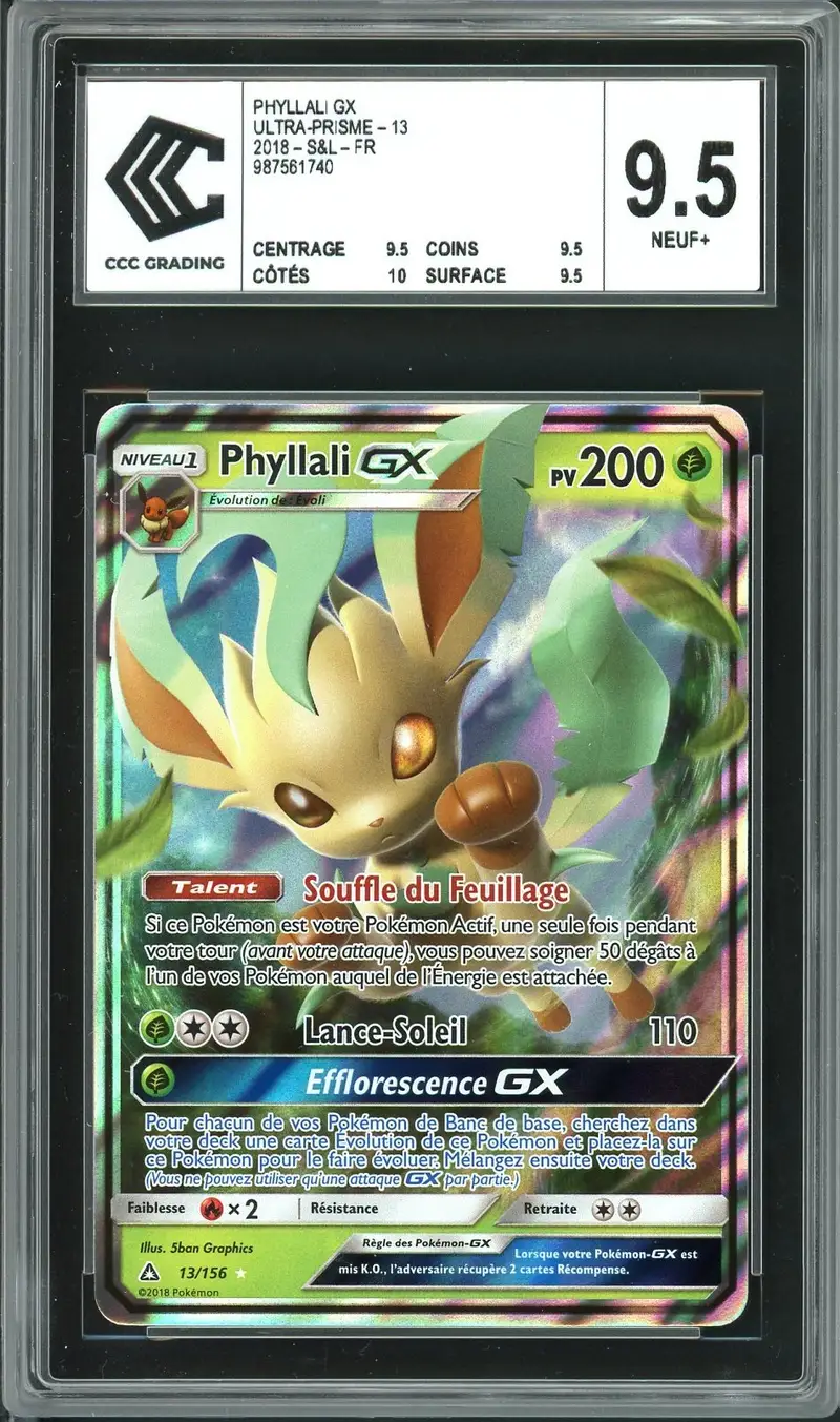 CCC 9.5 Phyllali Gx