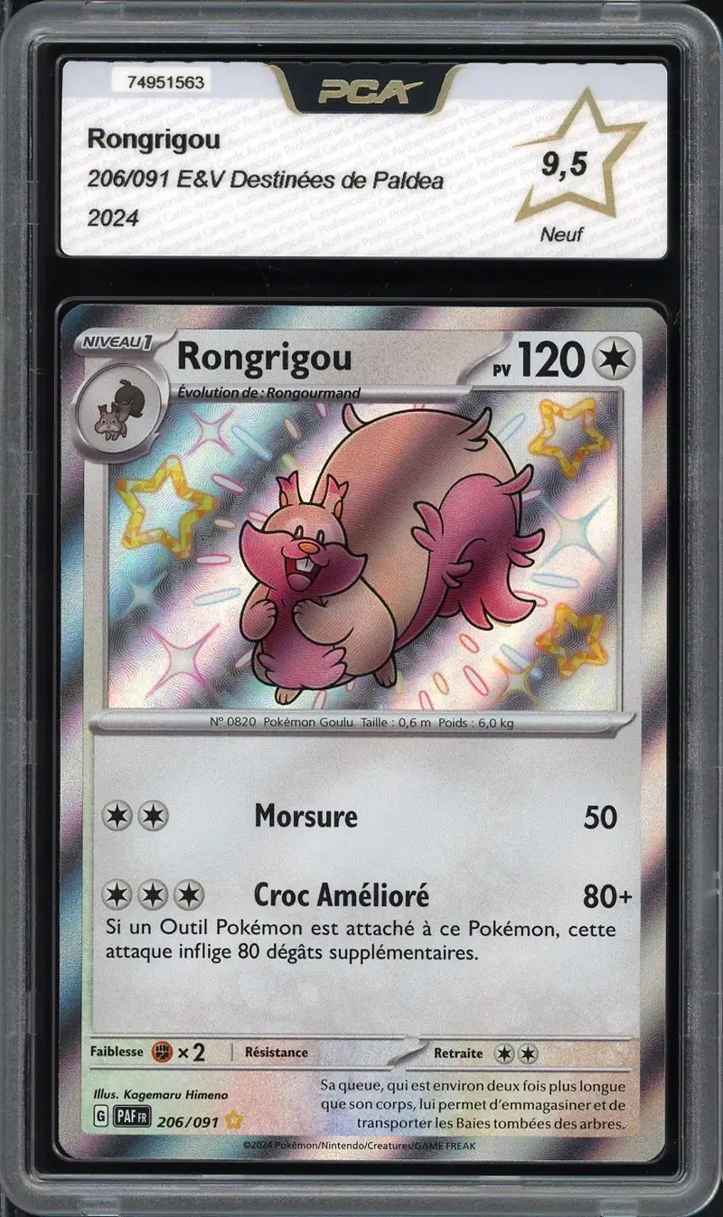 PCA 9.5 Rongrigou Shiny