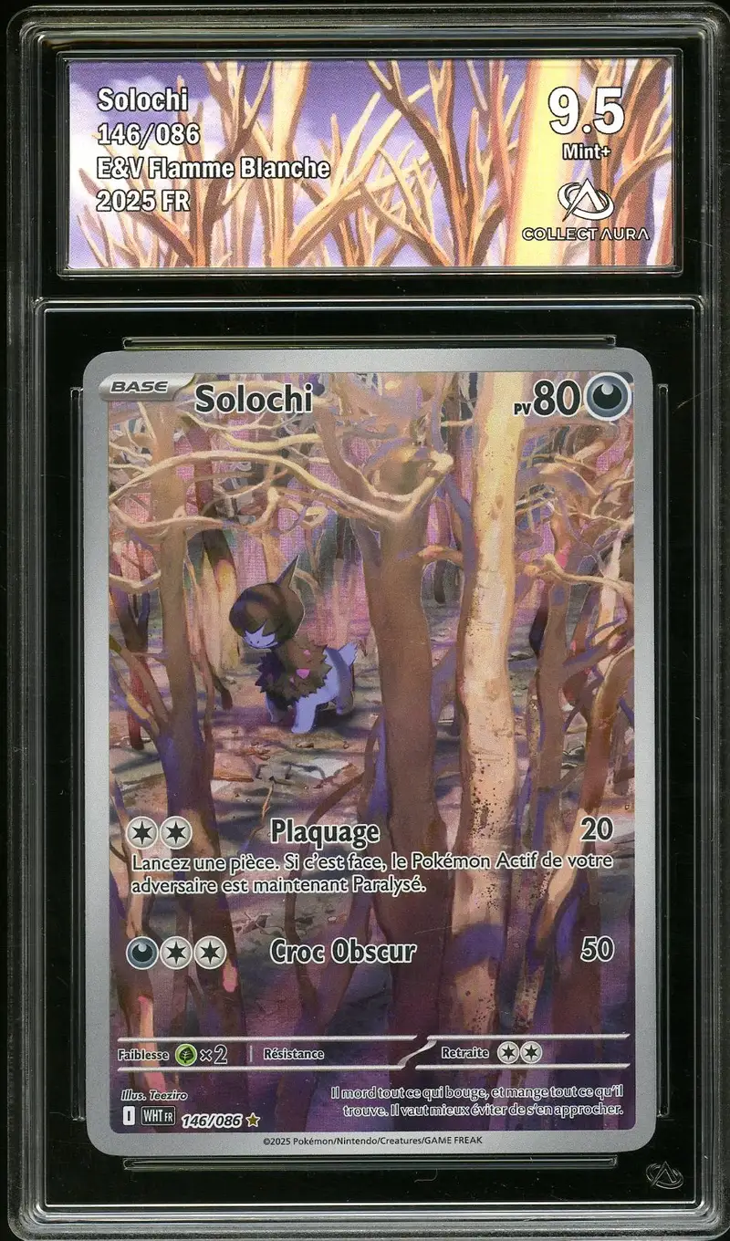 CA 9.5 Solochi