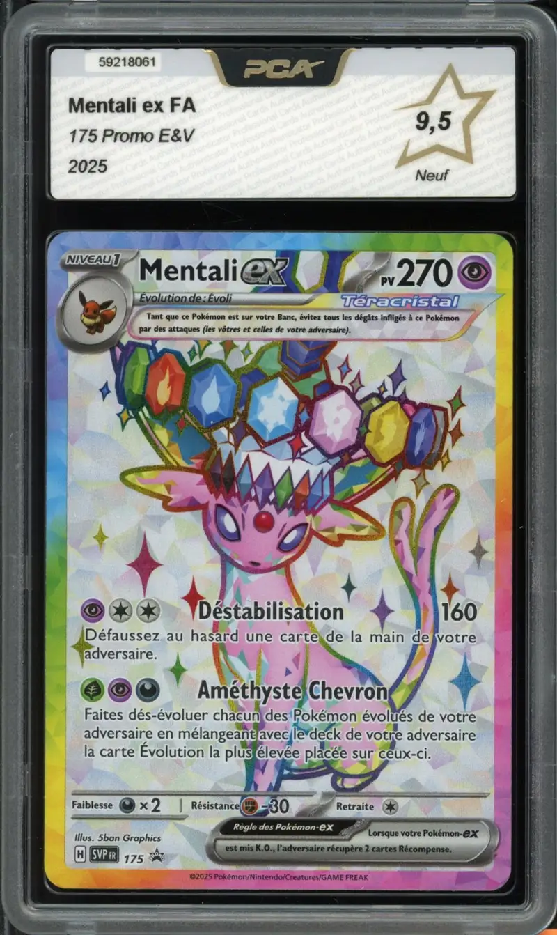 PCA 9.5 Mentali Ex