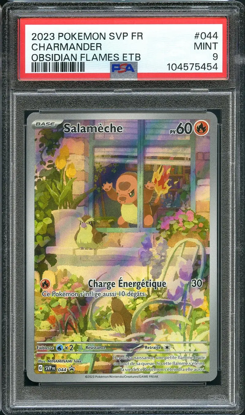 PSA 9 Salamèche